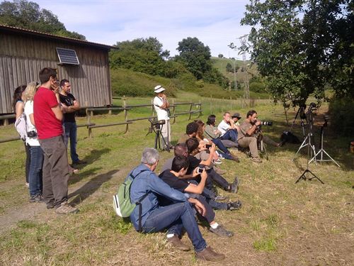 Cantabria. Más de mil personas participan en el VII Festival de la Migración de las Aves en las Marismas de Santoña