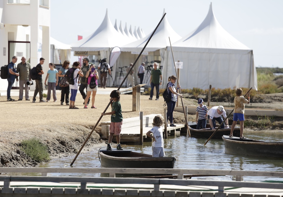 Cerca de 2.000 personas llenan el segundo festival internacional de ornitología en el Delta del Ebro