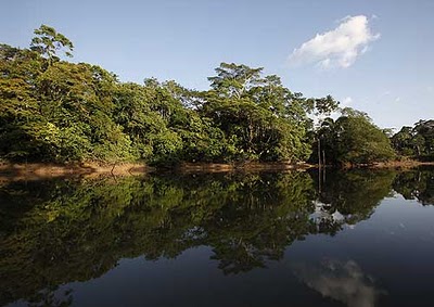 El Parque Nacional de Yasuní