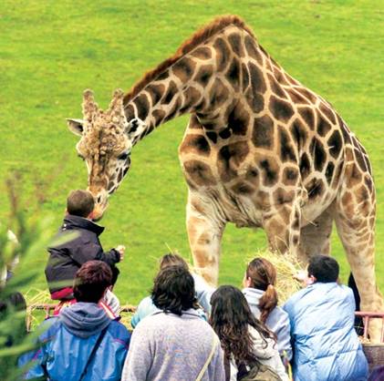 Cantur se plantea el cierre del Parque de la Naturaleza de Cabárceno ‘en algunas épocas del año’
