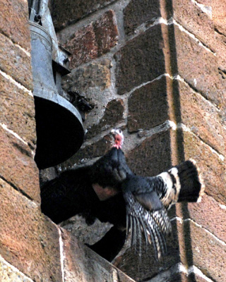 ¡Bien por Cazalilla! (Jaén)