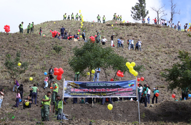 Misión Árbol plantó 40.000 árboles en el Parque Nacional Waraira Repano