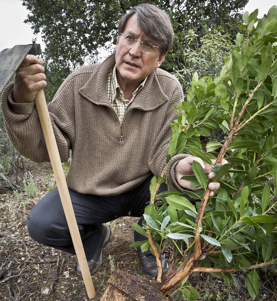 Joaquín Araujo ‘estrella’ en BioCultura Bilbao