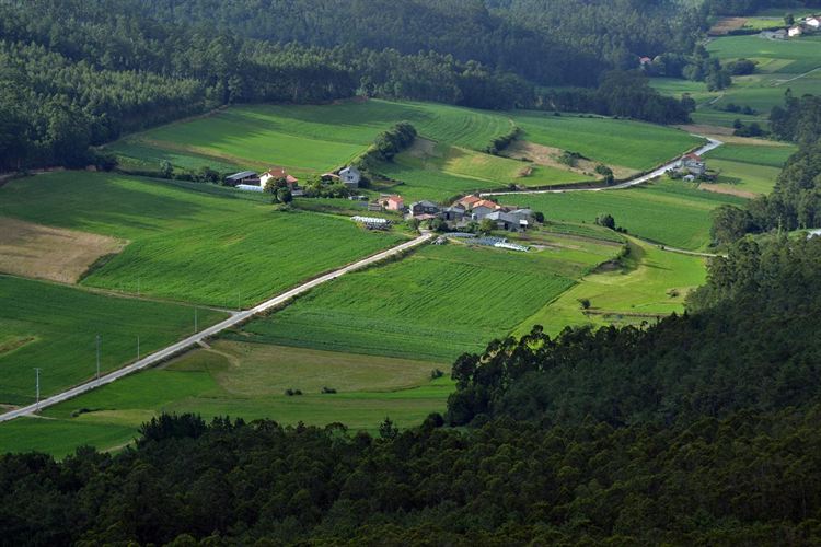 Galicia. Salvemos Cabana se reafirma con informes desfavorables al uso de arsénico