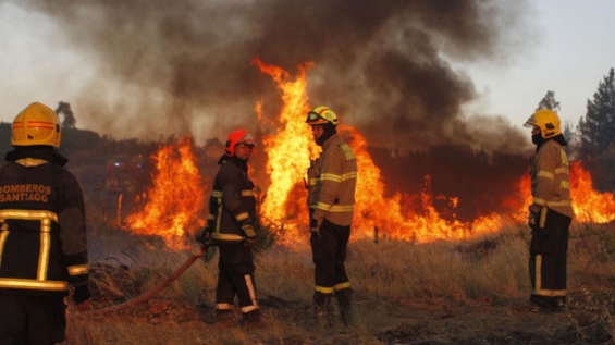 Chile. Los devastadores incendios ya han consumido 129.000 hectáreas