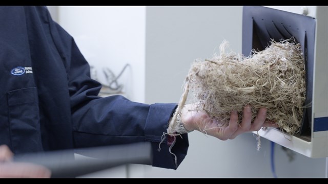 Planta del agave para el desarrollo de bioplásticos para piezas de coches