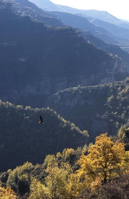 Los planes de gestión de hábitats y especies Red Natura 2000 protegen una de cada tres hectáreas de suelo riojano