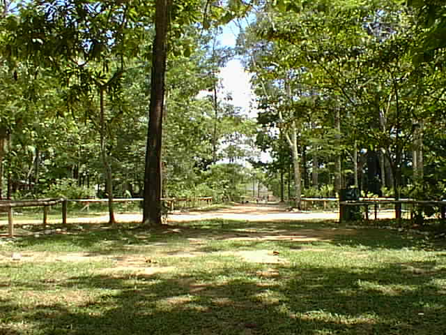 Un juez anula una resolución del Consell en la que se nombra a personal eventual para dirigir parques naturales