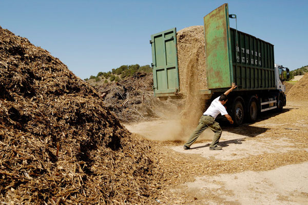 Extremadura pide apoyo para la biomasa y los proyectos fotovoltaicos sin primas