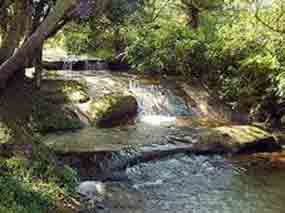 Paraguay proclamó bienes naturales como recurso estratégico del país