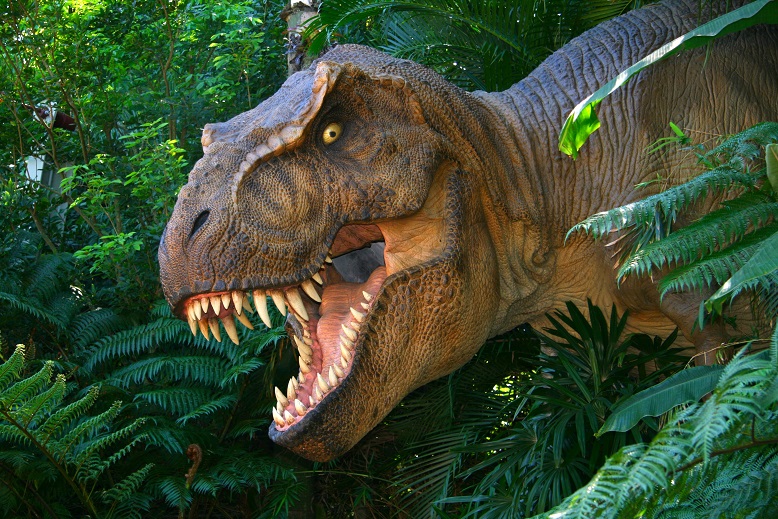 El Tyrannosaurus rex tenía una estructura dental única formada por dientes en forma de sierra con las que desgarraban a sus presas