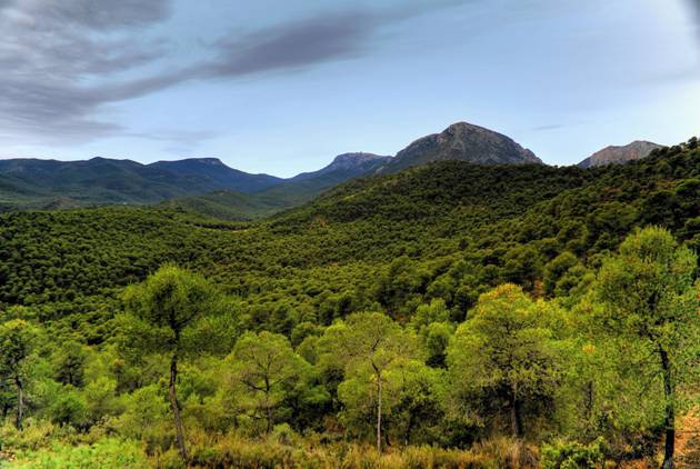 Actuaciones en Sierra Espuña y su entorno
