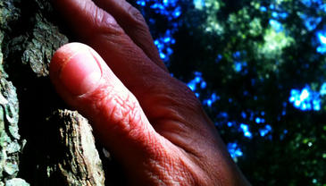 Invidentes disfrutan de la naturaleza en ‘A pie por los Bosques’