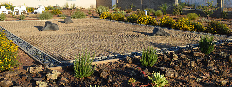 Jardín Botánico San Quintín: divulgación y participación social