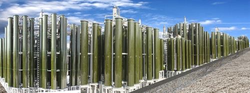 Innovador proyecto europeo para fabricar plástico a partir de algas cultivadas con CO2 industrial