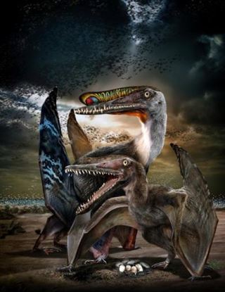 Primeros huevos 3-D de pterosaurio hallados en China