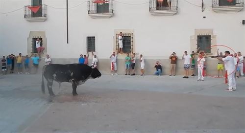 Multa de hasta 30.000€ euros por matar a un toro de un disparo en Coria
