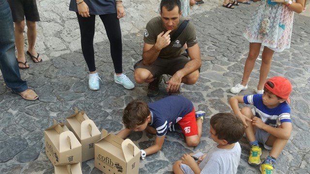 El Centro de Recuperación de Fauna libera vencejos desde las terrazas de la Catedral de Palma