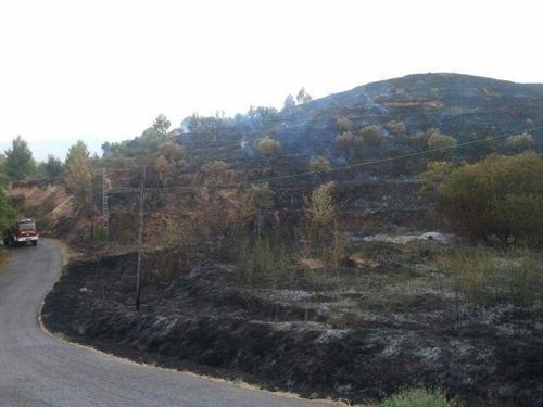 Numerosos efectivos trabajan en la extinción de un fuego en Alcoi (Alicante)