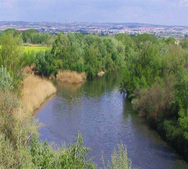 Ecologistas denuncia en Guardia Civil que cazadores disparan en una parcela protegida del Parque Regional del Sureste