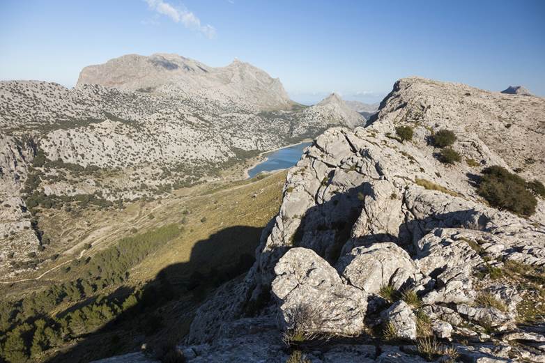 La ‘palmaria’ desprotección medioambiental en Mallorca