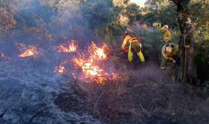 Sevilla. Unas 18 hectáreas afectadas por el incendio de El Ronquillo
