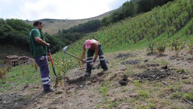 Por qué no se subvenciona la Hunosa Verde