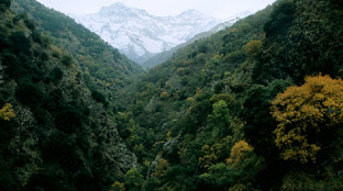 Medio Ambiente organiza para el mes de diciembre senderismo con raquetas por la nieve y talleres para aliñar aceitunas
