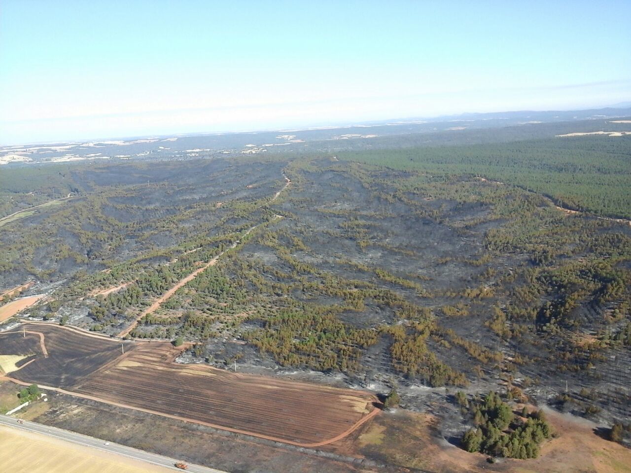 Luz verde a la restauración de las áreas afectadas por los incendios forestales en Fabero