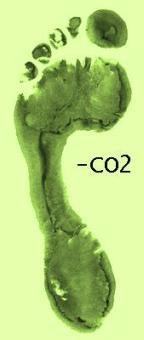 Cálculo de Huella de Carbono: tu oportunidad real para encontrar trabajo