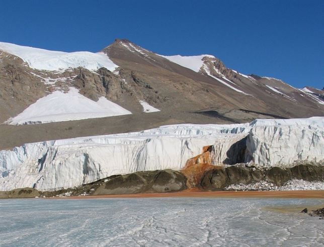 Hay vida en los lagos bajo los valles secos de la Antártida