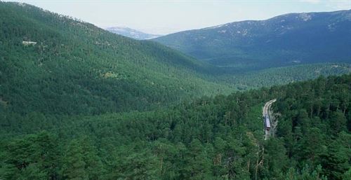 El sector forestal quiere prebendas fiscales