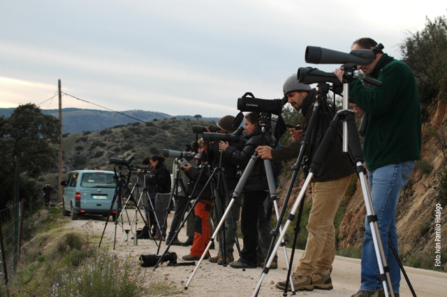 26 Puntos de Interés Ornitológico en la comarca de los Pedroches para fomento del empleo verde