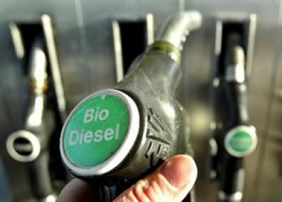 España deberá multiplicar por tres el uso de biocarburantes para lograr objetivos de energías renovables de 2020