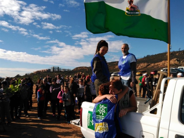 Éxito ‘total’ en la reforestación de la Sierra Carbonera en Cádiz