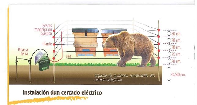 Pastores eléctricos entre los apicultores de Lugo para prevenir ataques del oso pardo