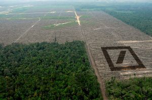 Deutsche Bank saca a bolsa la deforestación