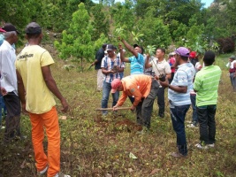 MA pone en marcha nueva estrategia de prácticas agrícolas forestales sostenible