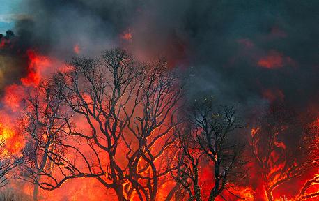 El MARM ha invertido 131 millones de euros en 2009 en la lucha contra los incendios forestales