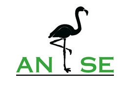 “ANSE y ADECA denuncian la reactivación del Plan Parcial para la urbanización de Cala Reona