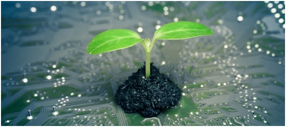 Tienes una empresa eco-innovadora