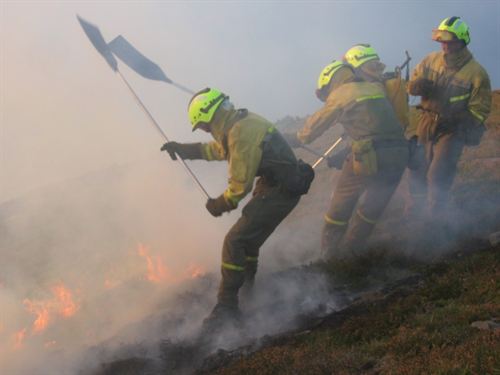 Medio Ambiente envía 2 aviones anfibios