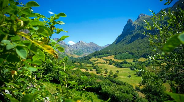 Media España ‘suspende’ por no cuidar su Red Natura 2000