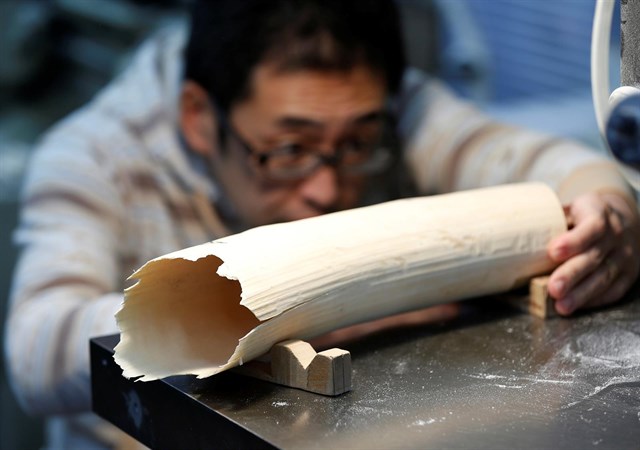 Japón presenta un proyecto para intensificar los controles en el mercado de marfil