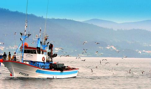 Científicos patean el tablero de la pesca sustentable