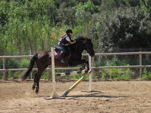 Niños felices en campamentos ecologistas