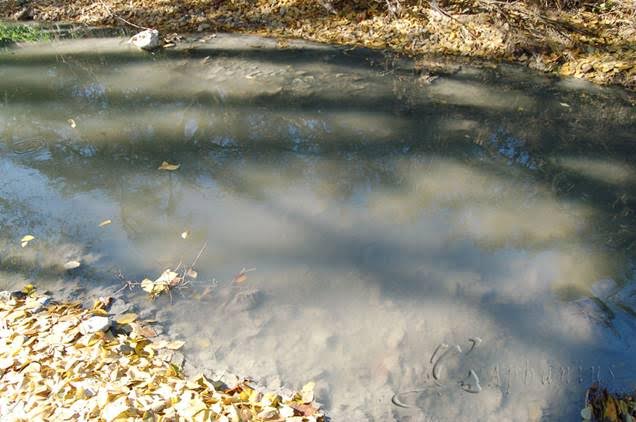 Córdoba. Contaminación del río Salado