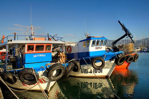 Los mejilloneros se pueden acoger al etiquetado ecológico