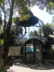 Protegen aves en Parque Lincoln