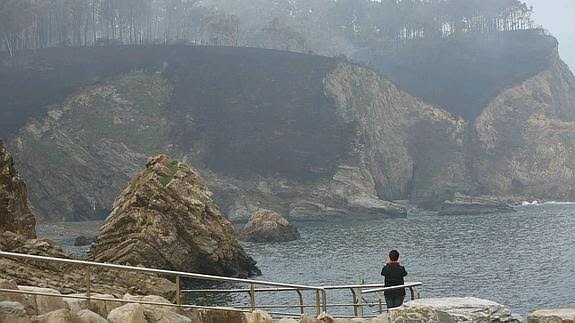 Asturias puede y debe poner en marcha una mesa de diálogo para evaluar el modelo de gestión de las áreas incendiadas y sus consecuencias